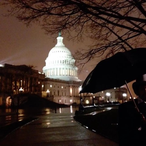 Person with umbrella near illuminated Capitol building at night.